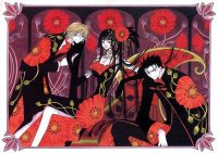 BUY NEW xxxholic - 36330 Premium Anime Print Poster